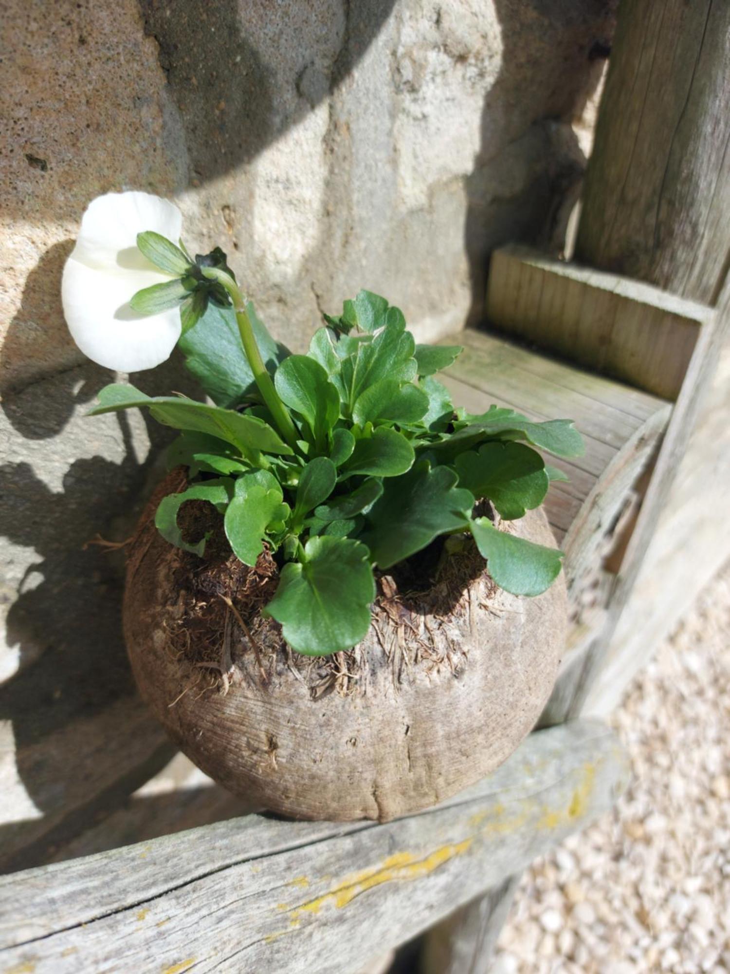 Thames Head Wharf - Historic Cotswold Cottage With Stunning Countryside Views Cirencester Luaran gambar